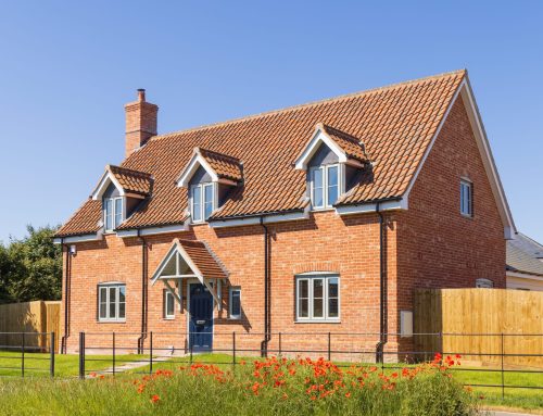 Windows to Transform Your Home or Project
